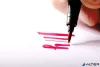 Ecsetirón készlet, STAEDTLER "Pigment brush 371", 24 különböző szín