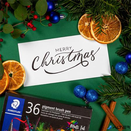 Ecsetirón készlet, STAEDTLER "Pigment brush 371", 36 különböző szín