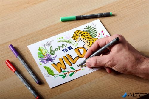 Filctoll, 1 mm, kúpos, 2 db, STAEDTLER® 'Pigment pen 376', intenzív fekete