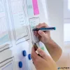 Tábla- és flipchart marker, 2-3 mm, kúpos, SCHNEIDER 'Maxx 290', zöld
