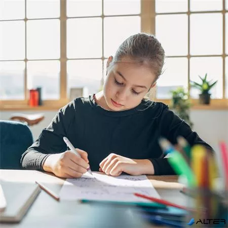 Rollertoll, patronos, M-es, SCHNEIDER "Base Ball", szürke-rózsaszín