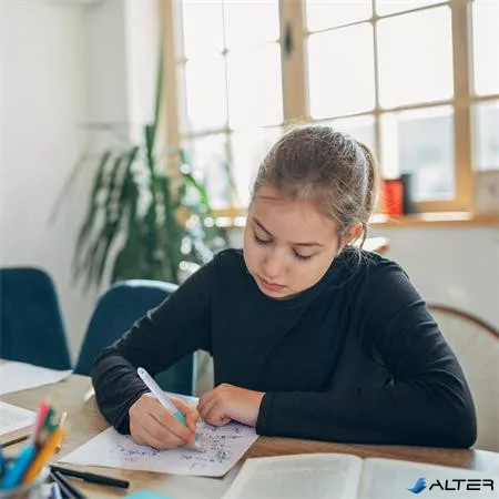Rollertoll, patronos, M-es, SCHNEIDER "Base Ball", szürke-türkiz