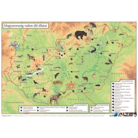   Könyökalátét, kétoldalas, A3, STIEFEL "Magyarország vadon élő állatai / Magyarország állatvilága"