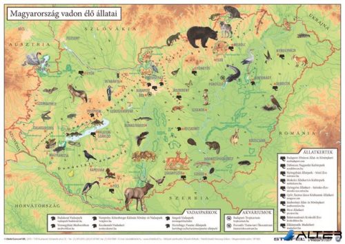 Könyökalátét, kétoldalas, A3, STIEFEL "Magyarország vadon élő állatai / Magyarország állatvilága"
