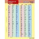 Tanulói munkalap, A4, STIEFEL "Irregular Verbs"