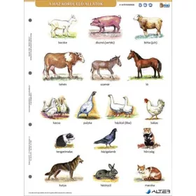   Tanulói munkalap, A4, STIEFEL" A ház körül élő állatok"